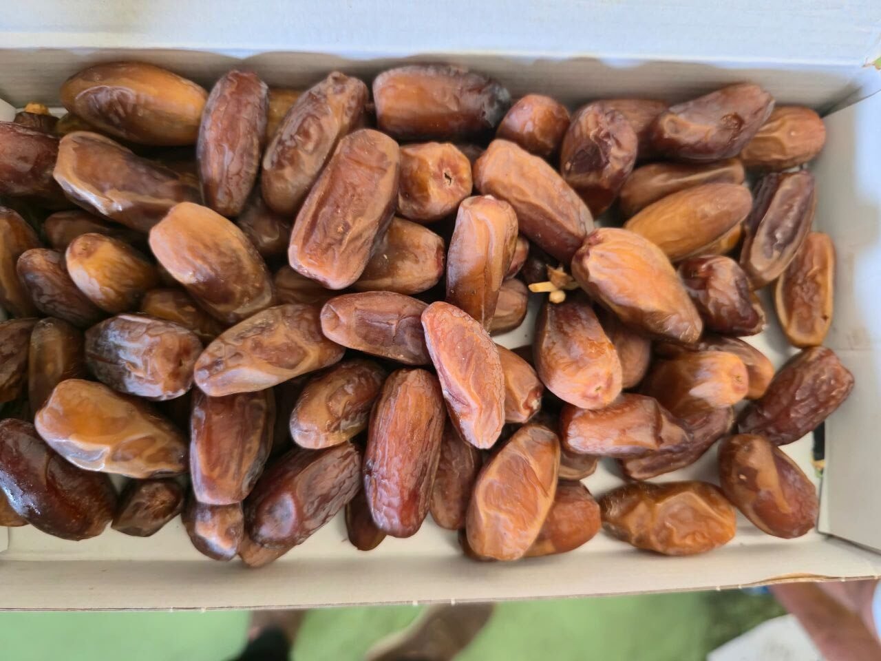 Stemless Deglet Nour dates grade 2