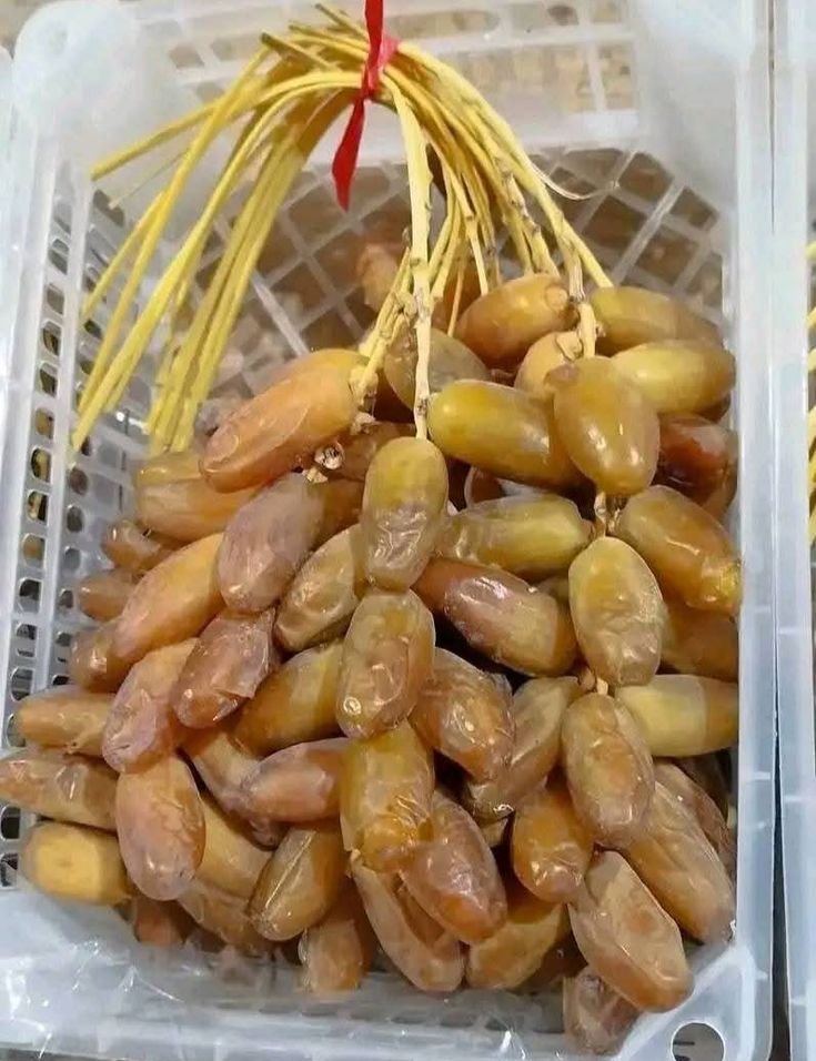 Premium Deglet Nour branch dates